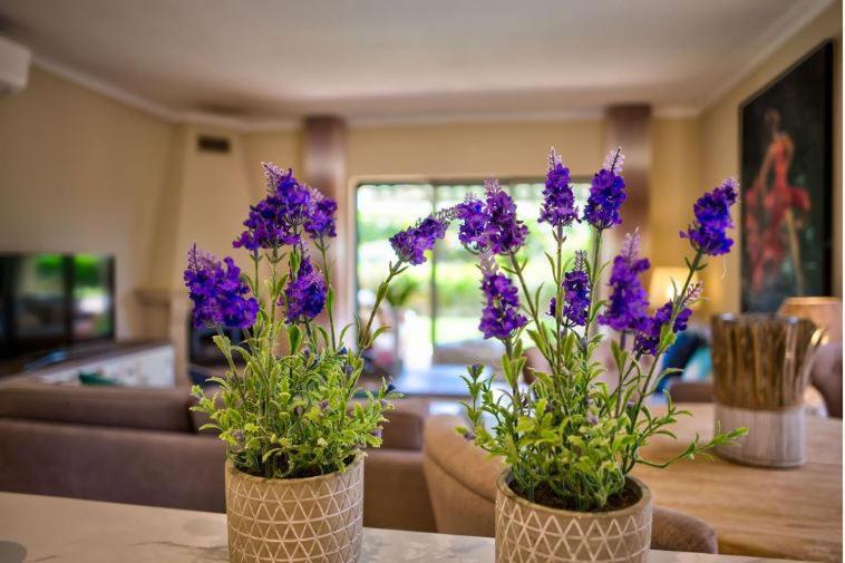 2Bedroom Bungalow Heated Shared Pool ,Near Carvoeiro And Ferrugudo Exteriör bild